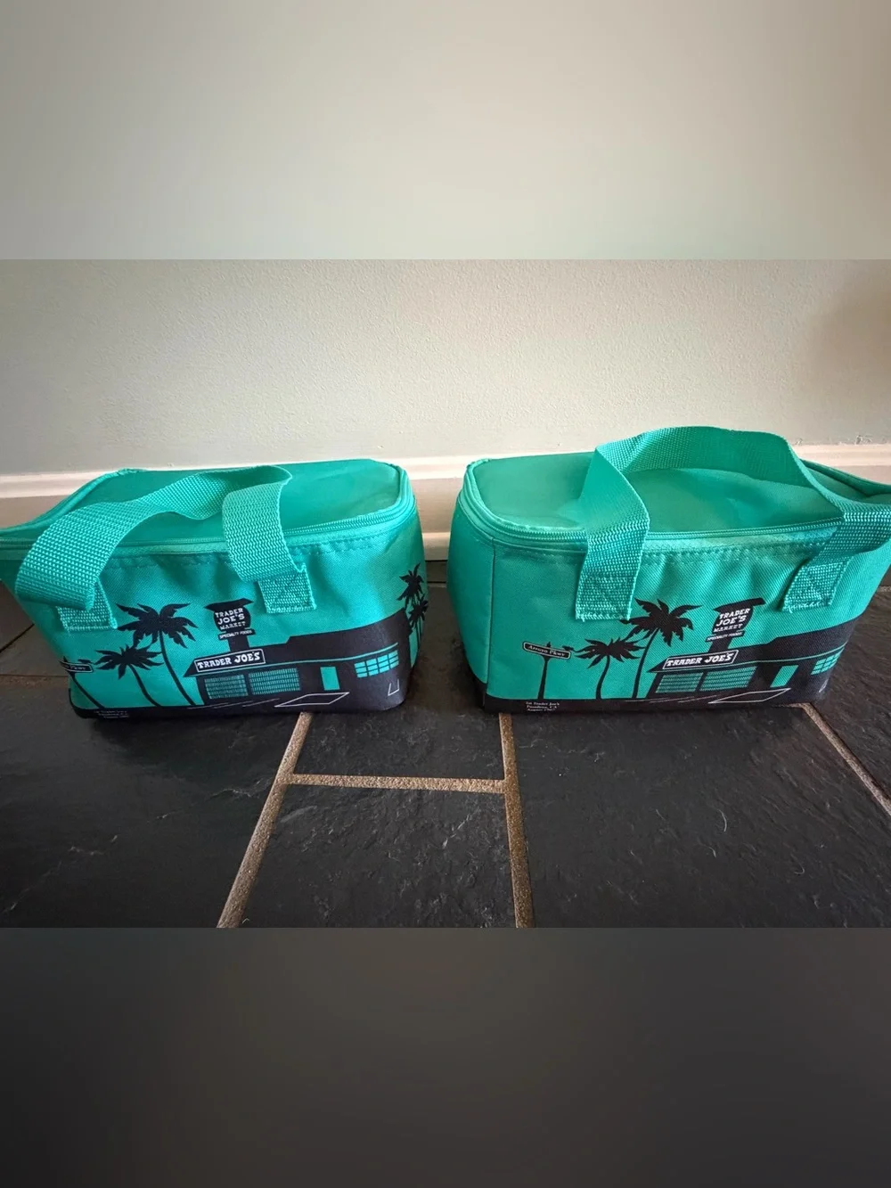 Trader Joe’s Insulated Lunch Totes- Reusable Cooler Bag.